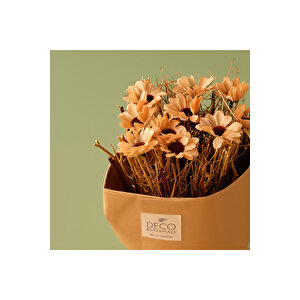 Daisy Dal Çiçek Buketi Naturel (35 Cm) Naturel