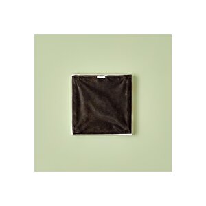 Sausage Dog 3'lü Kanvas Tablo (20x20 Cm) Çok Renkli