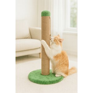 Pet Yuvarlak Kedi Tırmalama Platformu Yeşil