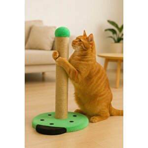 Pet Uğur Böceği Kedi Tırmalama Platformu Yeşil