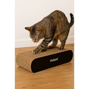 Rotipet Theta Karton Kedi Tırmalaması Siyah Small