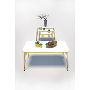Zigon Sehpa Kr Ve Orta Sehpa Kr Set Gold Beyaz Tel 1109 Beyaz
