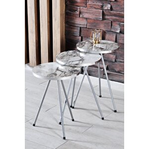 Zigon Sehpa Ve Orta Sehpa Elips Gümüş Metal Ayak Gümüş Efes Set Gümüş
