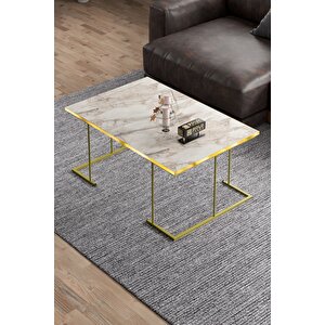 Orta Sehpa Ve Zigon Sehpa Solo Set Gold Efes