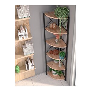 Kitaplık Çiçeklik 6 Raflı Ceviz Çok Amaçlı Stand Altı Bölmeli 160*30*43 Atlantik Çam