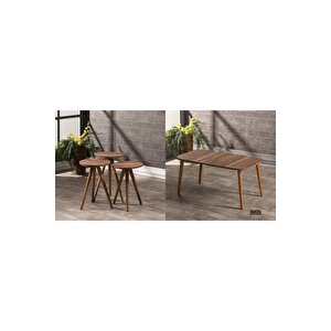 Zigon Sehpa Ve Orta Sehpa Kr Torna Ceviz Set 3006 Ceviz