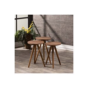 Zigon Sehpa Ve Orta Sehpa Kr Torna Ceviz Set 3006 Ceviz