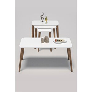 Zigon Sehpa Kr Ve Orta Sehpa Kr Torna Set Beyaz 1201 Beyaz