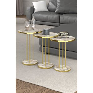 Orta Sehpa Ve Zigon Sehpa Terra Set Gold Efes