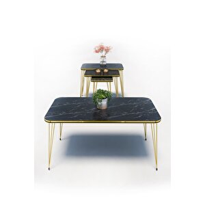 Zigon Sehpa Kr Ve Orta Sehpa Kr Set Çift Gold Bendir Tel 1113