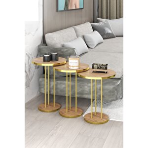 Orta Sehpa Ve Zigon Sehpa Terra Set Gold Ceviz