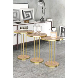 Orta Sehpa Ve Zigon Sehpa Terra Set Gold Antrasit Ceviz