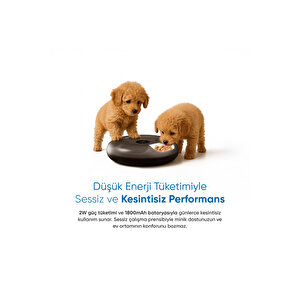 Şımart 6 Hazneli Akıllı Mama Kabı Uygulama Kontrollü, Soğutuculu, Yaş Mama Uyumlu