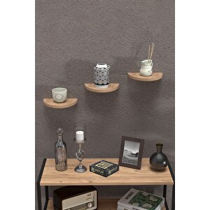 Duvar Rafı Dekoratif 3 Adet Çiçeklik Oval Ceviz Çam