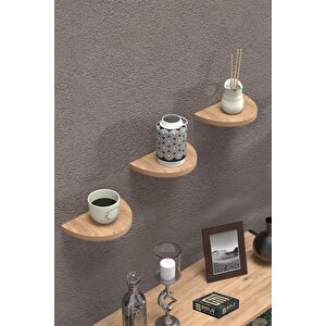 Duvar Rafı Dekoratif 3 Adet Çiçeklik Oval Ceviz Çam