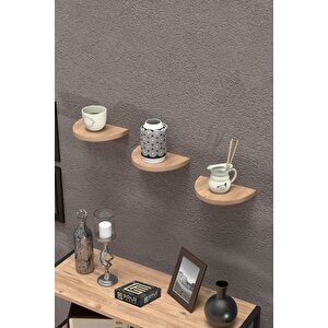 Duvar Rafı Dekoratif 3 Adet Çiçeklik Oval Ceviz Çam