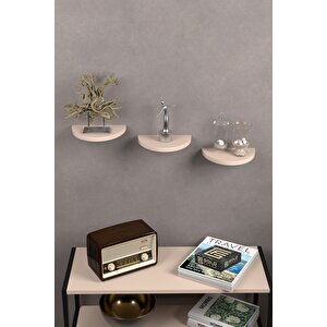 Duvar Rafı Dekoratif 3 Adet Çiçeklik Oval Krem Krem