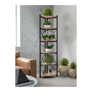 Çiçeklik Kitaplık 6 Raflı Ceviz Atlantik Çam