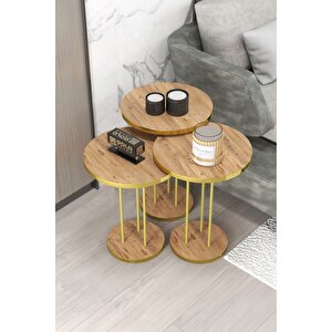 Zigon Sehpa Terra Gold Ceviz Ceviz Gold