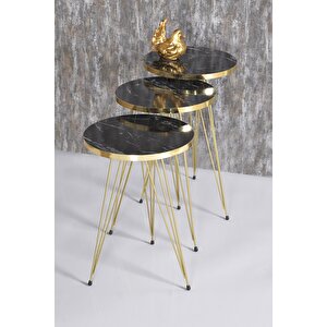 Zigon Sehpa Ve Orta Sehpa Kr Set Gold Bendir Tel Siyah Mermer Desenli