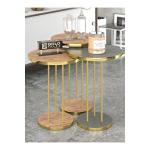 Zigon Sehpa Terra Gold Ceviz Antrasit Gordion Ceviz