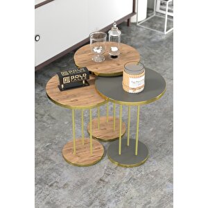 Zigon Sehpa Terra Gold Ceviz Antrasit Gordion Ceviz
