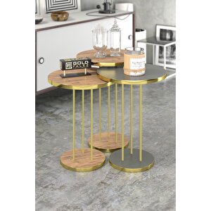 Zigon Sehpa Terra Gold Ceviz Antrasit Gordion Ceviz