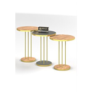 Zigon Sehpa Terra Gold Ceviz Antrasit