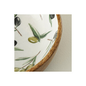 Olive Mango Sunum Kasesi (20x6 Cm) Çok Renkli