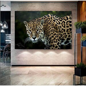 Renkli Kaplan Kanvas – Kaplan Duvar Sanatı, Asmaya Hazır 80x160 cm