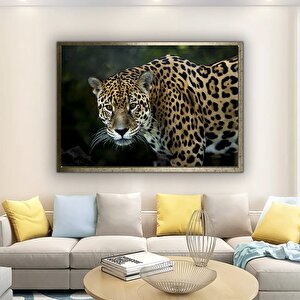 Renkli Kaplan Kanvas – Kaplan Duvar Sanatı, Asmaya Hazır