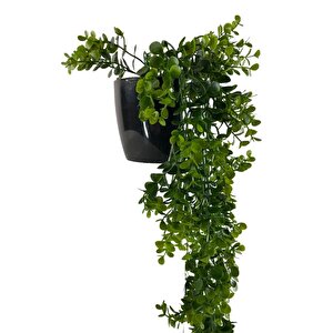 Yapay Çiçek Saksıda Sarkan Şimşir Okaliptus Yapay Sarmaşık 60cm