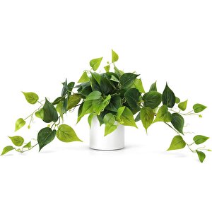 Saksıda Sarmaşık Sarı Yeşil Oval Yapraklı Sarmaşık Yapay Çiçek Beyaz Saksıda