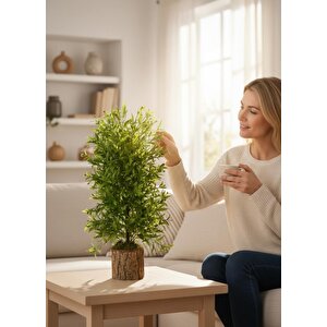 Yapay Çiçek Kütük Saksıda Çam Ağacı 50cm