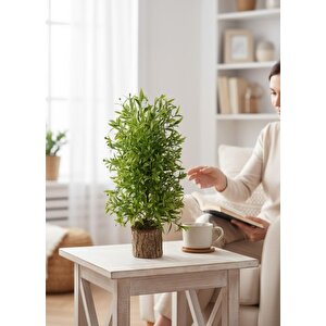 Yapay Çiçek Kütük Saksıda Çam Ağacı 50cm