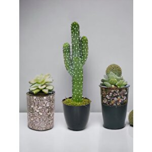 Yapay Çiçek Kaktüs Ağacı 3kollu Siyah Saksıda 56*15cm Sk4019