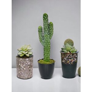 Yapay Çiçek Kaktüs Ağacı 3kollu Siyah Saksıda 56*15cm Sk4019
