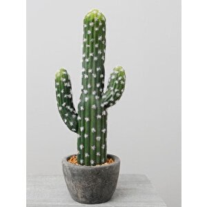 Yapay Çiçek Kaktüs Ağacı 3kollu Siyah Saksıda 56*15cm Sk4019
