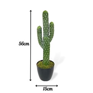 Yapay Çiçek Kaktüs Ağacı 3kollu Siyah Saksıda 56*15cm Sk4019