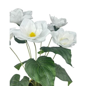 Yapay Çiçek Islak Manolya Çiçeği 6 Çiçekli 65cm Gold Krem Darbuka Galvaniz Vazoda Salon Çiçeği