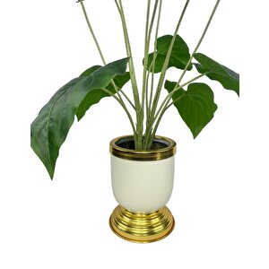 Yapay Çiçek Islak Manolya Çiçeği 6 Çiçekli 65cm Gold Krem Darbuka Galvaniz Vazoda Salon Çiçeği