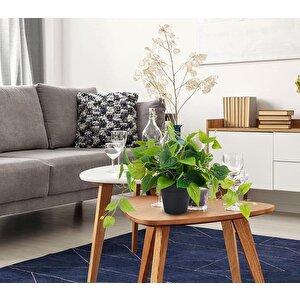 Saksıda Sarmaşık Sarı Yeşil Oval Yapraklı Sarmaşık Yapay Çiçek Siyah Saksıda