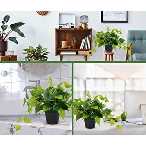 Saksıda Sarmaşık Sarı Yeşil Oval Yapraklı Sarmaşık Yapay Çiçek Siyah Saksıda