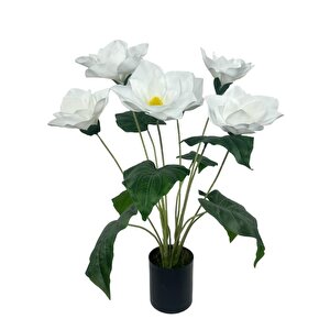 Yapay Çiçek Islak Manolya Çiçeği 6 Çiçekli 65cm Siyah Saksıda  Salon Çiçeği