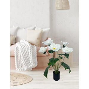 Yapay Çiçek Islak Manolya Çiçeği 6 Çiçekli 65cm Siyah Saksıda  Salon Çiçeği