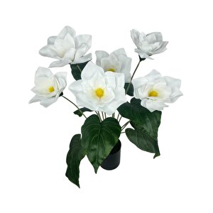 Yapay Çiçek Islak Manolya Çiçeği 6 Çiçekli 65cm Siyah Saksıda  Salon Çiçeği