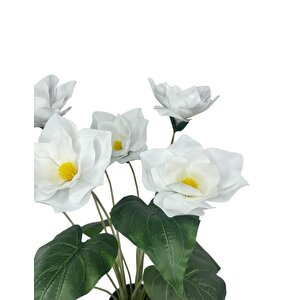 Yapay Çiçek Islak Manolya Çiçeği 6 Çiçekli 65cm Siyah Saksıda  Salon Çiçeği