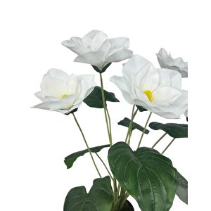 Yapay Çiçek Islak Manolya Çiçeği 6 Çiçekli 65cm Siyah Saksıda  Salon Çiçeği