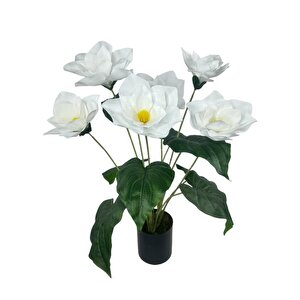 Yapay Çiçek Islak Manolya Çiçeği 6 Çiçekli 65cm Siyah Saksıda  Salon Çiçeği