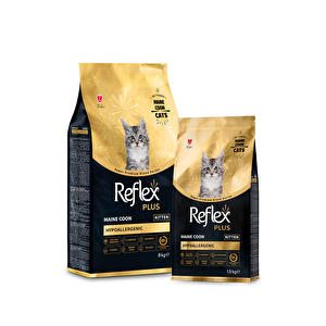 Maine Coon 1.5 Kg Yavru Kedi Maması